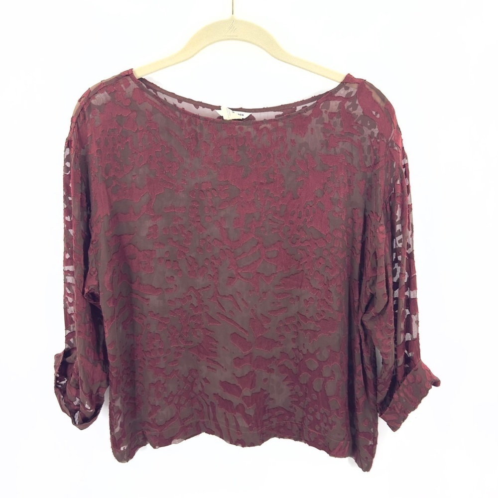 Club Monaco Top Womens XS Velvet Burnout Whimsigoth Fairy Grunge Vamp Sheer - Picture 8 of 8